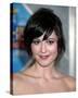 Mary Elizabeth Winstead-null-Stretched Canvas