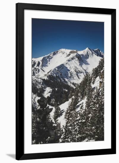 Mary Ellen Gulch Is Located Adjacent To Snowbird's Mineral Basin, Wasatch Mountains, Utah-Louis Arevalo-Framed Photographic Print