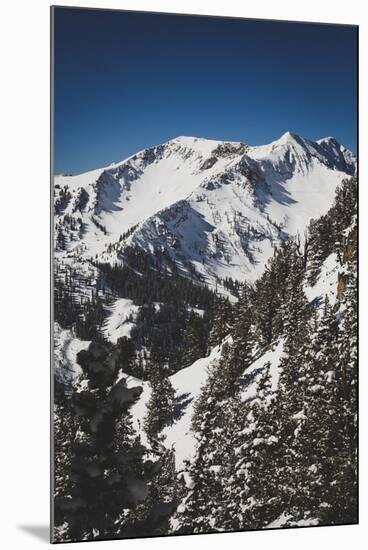 Mary Ellen Gulch Is Located Adjacent To Snowbird's Mineral Basin, Wasatch Mountains, Utah-Louis Arevalo-Mounted Photographic Print
