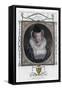 Mary I of Scotland, Popularly known as Mary, Queen of Scots-John Goldar-Framed Stretched Canvas