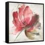 Mary I-Asia Jensen-Framed Stretched Canvas