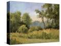 Stretched Canvas