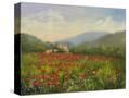 Stretched Canvas
