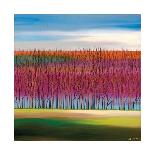 Painted Skies 1-Mary Johnston-Giclee Print