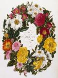 Frontispiece of Roses, Collection of Roses from Nature-Mary Lawrence-Giclee Print