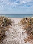 Star Fish and Sea Oats-Mary Lou Johnson-Art Print