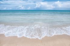 Beach Entry Path with Posts-Mary Lou Johnson-Photo