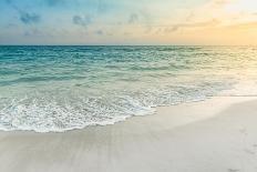 Beach Entry Path with Posts-Mary Lou Johnson-Photo