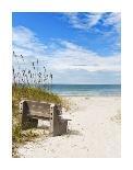 Beach Entry Path with Posts-Mary Lou Johnson-Photo