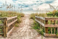 Beach Entry Path with Posts-Mary Lou Johnson-Photo