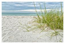 Beach Entry Path with Posts-Mary Lou Johnson-Photo