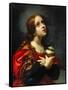 Mary Magdalene, 1660-70-Carlo Dolci-Framed Stretched Canvas