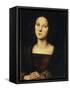 Mary Magdalene-Pietro Perugino-Framed Stretched Canvas