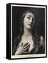 Mary Magdalene-Pietro Antonio Rotari-Framed Stretched Canvas