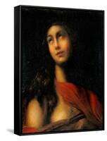Mary Magdalene-Francesco Furini-Framed Stretched Canvas