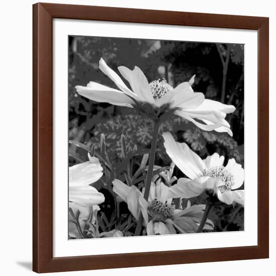 Mary Mary-Ruth Palmer-Framed Art Print