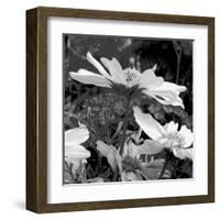 Mary Mary-Ruth Palmer-Framed Art Print