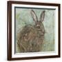 Brown Frame