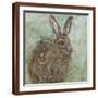 Brown Frame