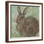 Brown Frame