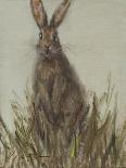 Abstract Rabbit 2-Mary Miller Veazie-Framed Giclee Print