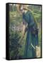 Mary Nazarene-Dante Gabriel Rossetti-Framed Stretched Canvas
