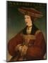 Mary of Austria, C.1520-Hans Maler-Mounted Giclee Print