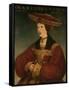 Mary of Austria, C.1520-Hans Maler-Framed Stretched Canvas