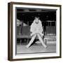 Mary Quant, at London Airport, on Her Way to Paris to Go to a Fancy Dress Ball.-null-Framed Photographic Print