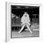 Mary Quant, at London Airport, on Her Way to Paris to Go to a Fancy Dress Ball.-null-Framed Premium Photographic Print