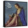 Mary Reading-Lorenzo Costa-Framed Stretched Canvas