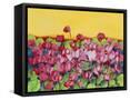 Framed Canvas