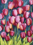 Pink Tulips-Mary Russel-Giclee Print