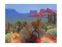 High Desert-Mary Silverwood-Laminated Art Print