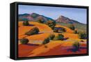 Canvas Black