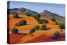 Stretched Canvas