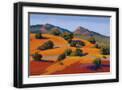 Black Frame