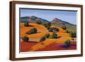 Brown Frame