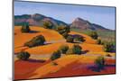 Wood Mount