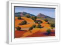 White Frame