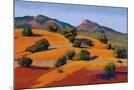 Wood Mount