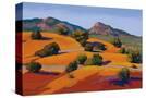 Stretched Canvas