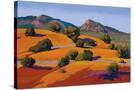 Stretched Canvas
