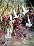 blossom in Darley park-Mary Smith-Giclee Print