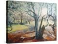 Stretched Canvas