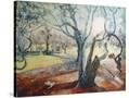 Stretched Canvas
