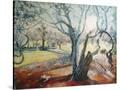 Stretched Canvas