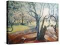 Stretched Canvas