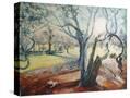 Stretched Canvas