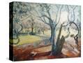Stretched Canvas